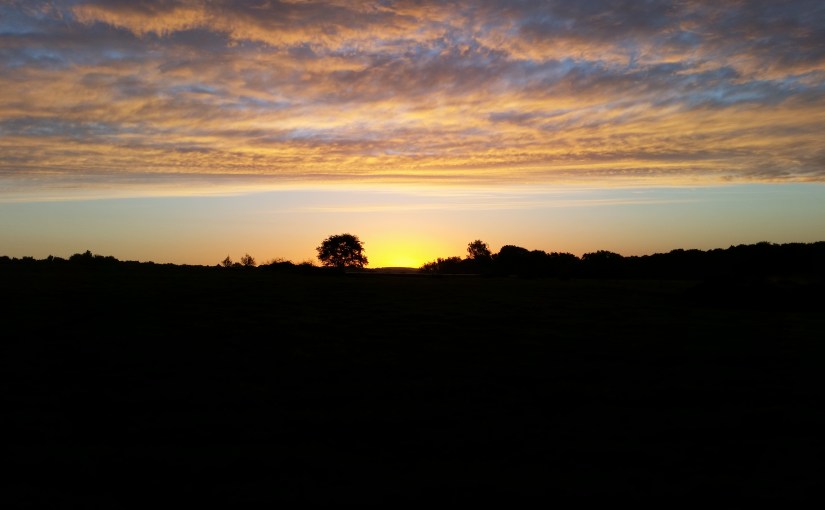 Levant … porte&nbsp;!