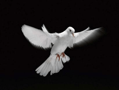 À toi qui… t&rsquo;inquiètes !