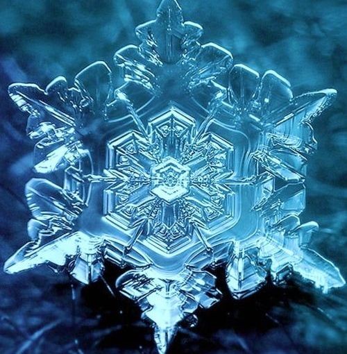 Saviez-vous que… l&rsquo;eau aurait une &laquo;&nbsp;mémoire&nbsp;&raquo; et bien plus&nbsp;?